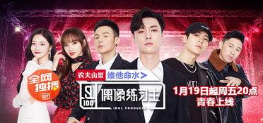 日韩综艺批判中国视频在线观看,在线观看背后的真相